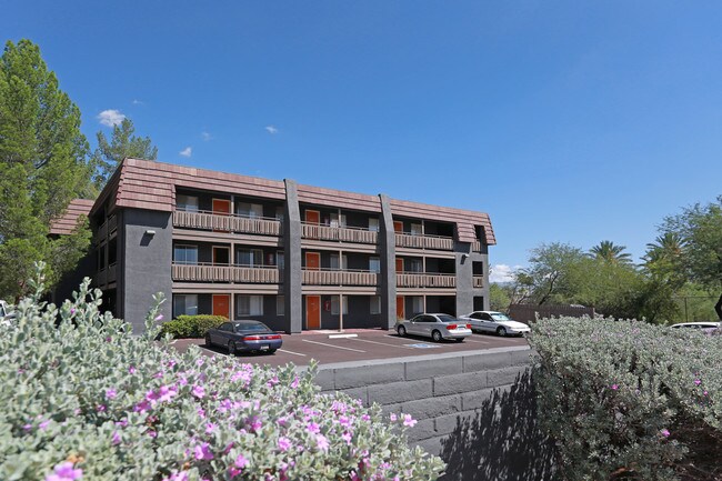 Zona Village in Tucson, AZ - Foto de edificio - Building Photo
