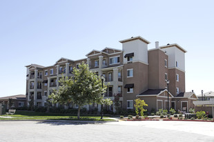 The Commons at Oak Grove Apartamentos