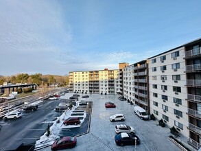 131 Coolidge Ave in Watertown, MA - Foto de edificio - Building Photo