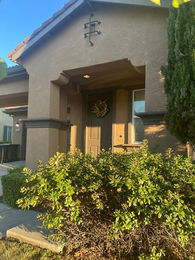 252 Crescent Moon Dr in Lathrop, CA - Building Photo - Building Photo
