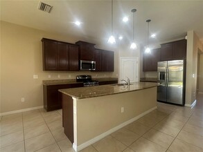 6309 Lantern View Pl in Apollo Beach, FL - Building Photo - Building Photo