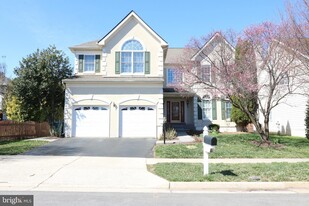 25497 Carrington Dr in Chantilly, VA - Building Photo