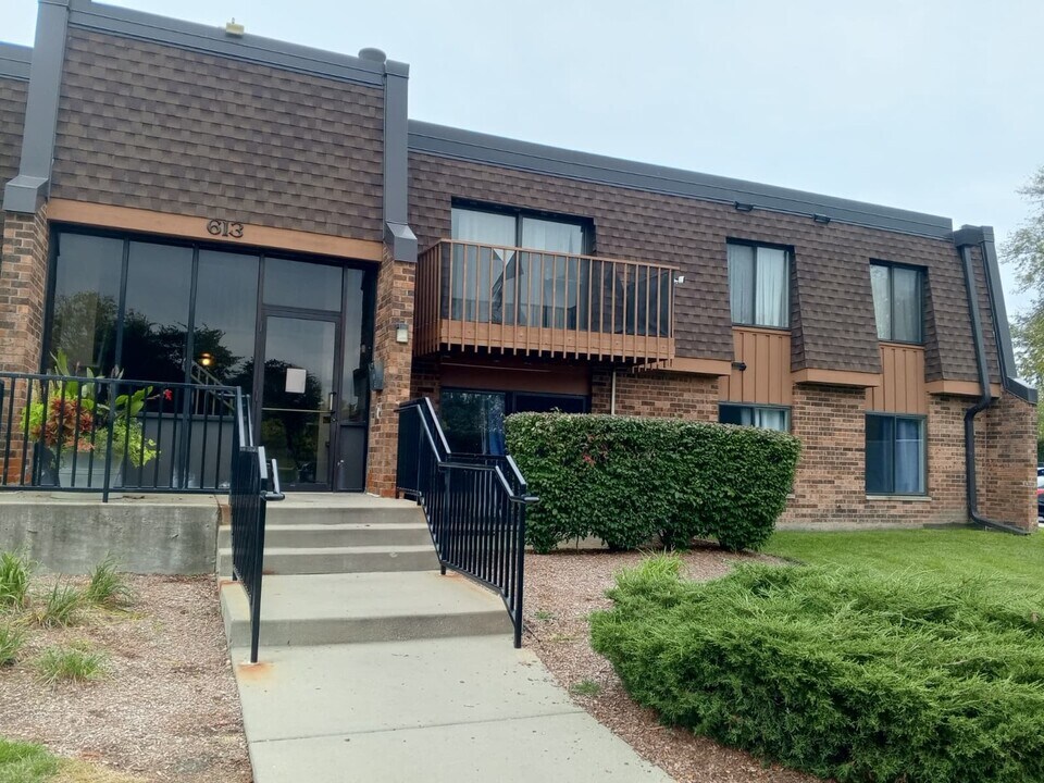613 Limerick Ln in Schaumburg, IL - Building Photo