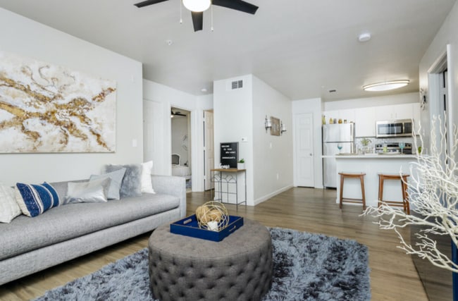 The Lory of Tallahassee in Tallahassee, FL - Building Photo - Building Photo