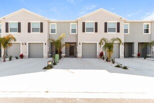 11865 Stoneport Pl in Riverview, FL - Building Photo