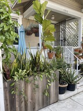 1712 E 8th St in Long Beach, CA - Building Photo - Building Photo
