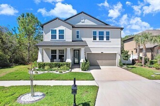 8721 Savory Walk Dr in Land O Lakes, FL - Building Photo - Building Photo