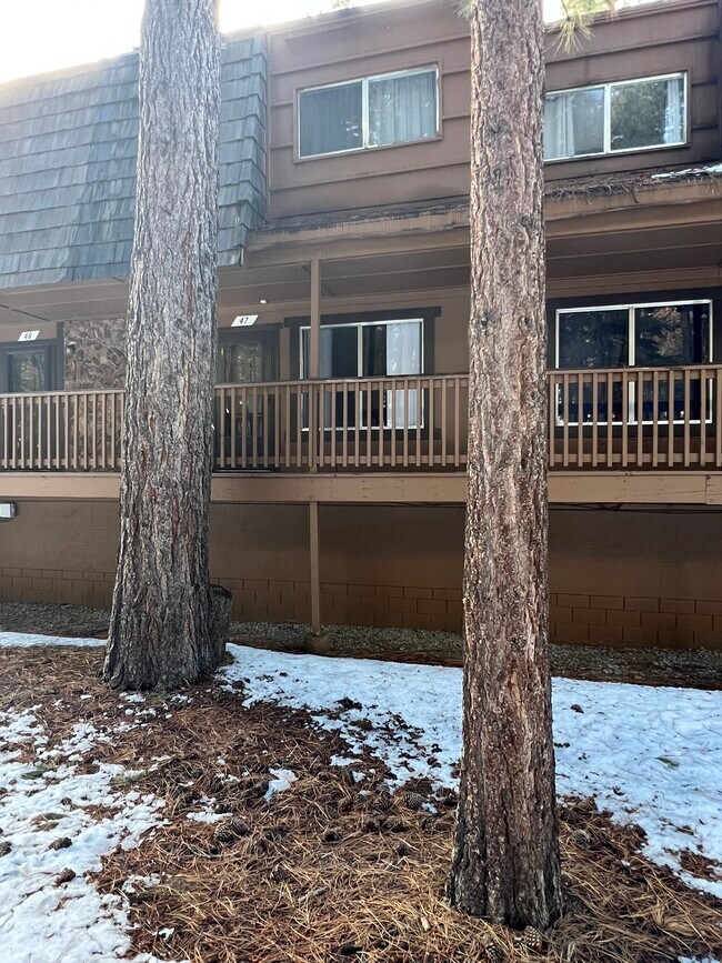 1200 Wildwood Ave in South Lake Tahoe, CA - Building Photo - Building Photo