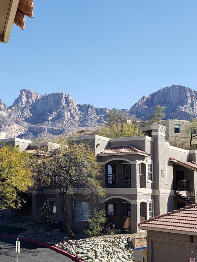 property at 1500 E Pusch Wilderness Dr