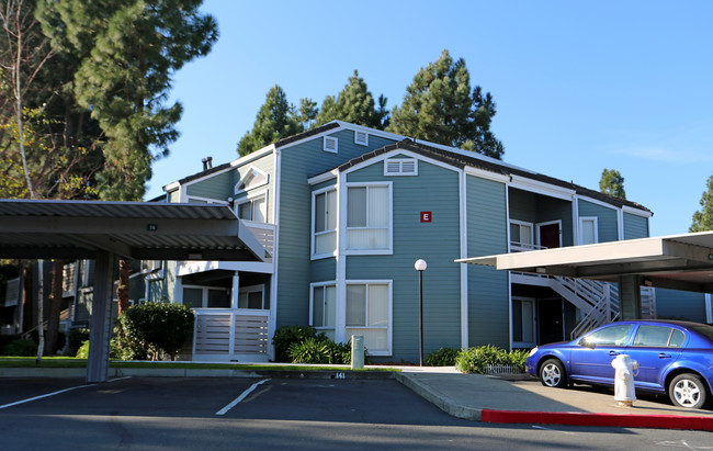 Willow Glen Apartments in Hercules, CA - Building Photo - Building Photo