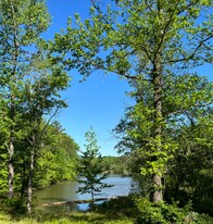 4241 Springhill Dr in Tuscaloosa, AL - Building Photo