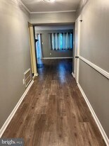 306 Kelly Cove in Mount Laurel, NJ - Building Photo