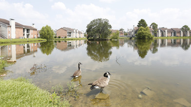 Jefferson Lakes Apartments in Baton Rouge, LA - Foto de edificio - Building Photo