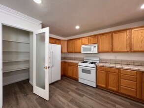 1035 Pepper Ln in Fernley, NV - Building Photo - Building Photo