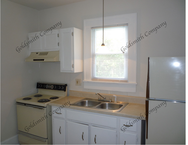 108 Chandler St in Greenville, SC - Building Photo - Building Photo