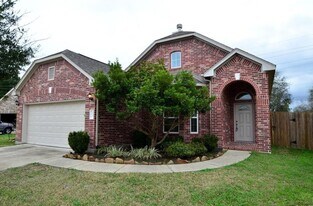 9942 Taylor Springs Ln in Tomball, TX - Building Photo