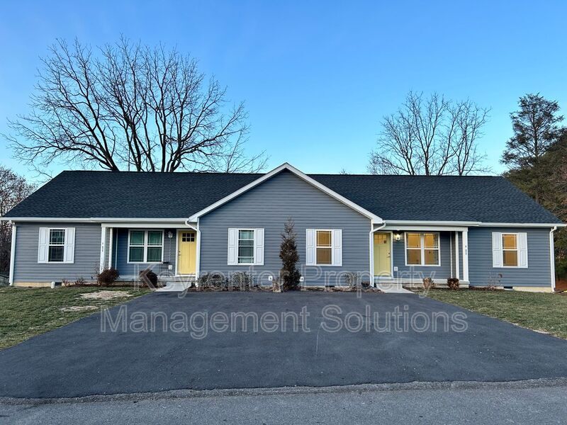 317 Sterling St in Staunton, VA - Building Photo