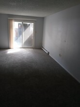 345 Idaho St, Unit 202 in Idaho Springs, CO - Building Photo - Building Photo