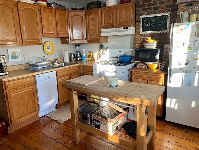 109 Bartlett St in Boston, MA - Building Photo - Building Photo