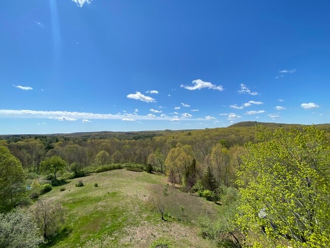 property at 123 Looking Glass Hill Rd