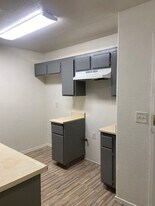 1011 W 91st St in Los Angeles, CA - Building Photo