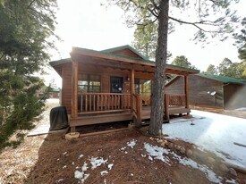 2689 Palomino Trail in Overgaard, AZ - Building Photo
