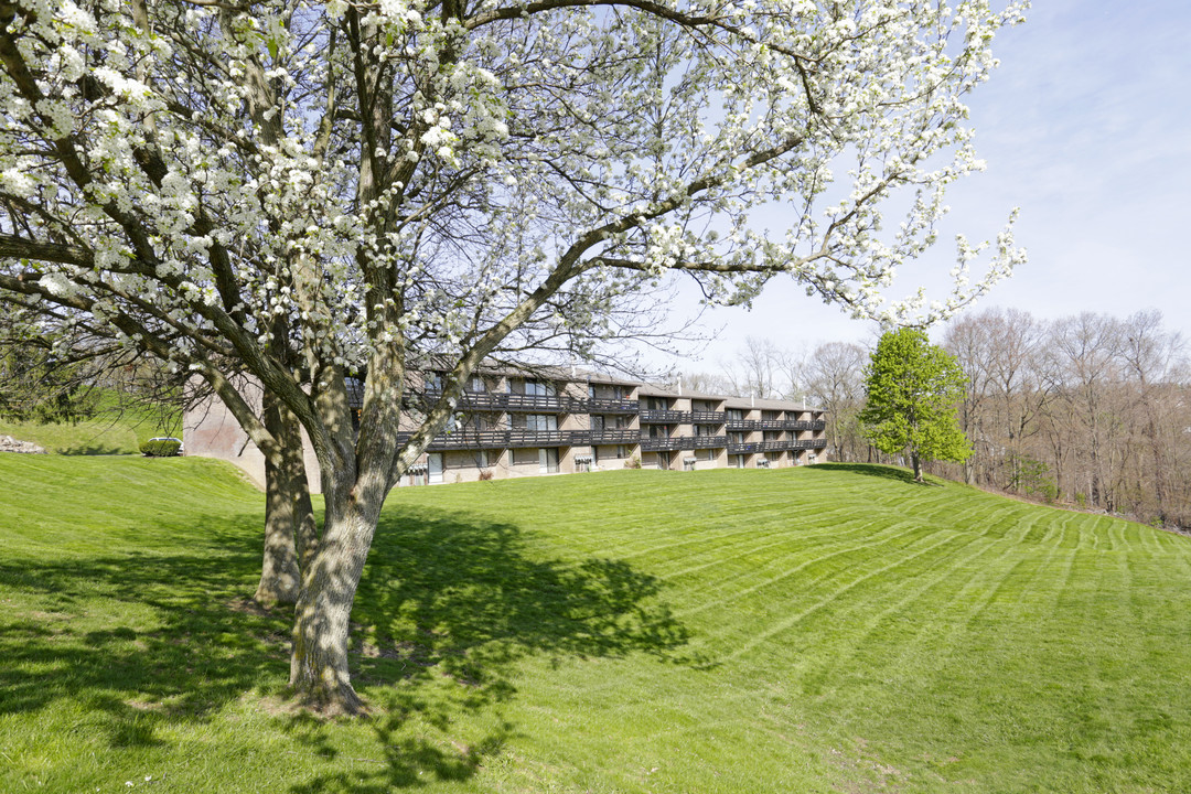 Thorn Run Apartments in Coraopolis, PA - Building Photo