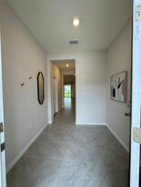 33102 Major Oak Dr in Wesley Chapel, FL - Foto de edificio - Building Photo