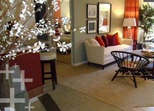 Sabal Palm in Tampa, FL - Foto de edificio - Interior Photo