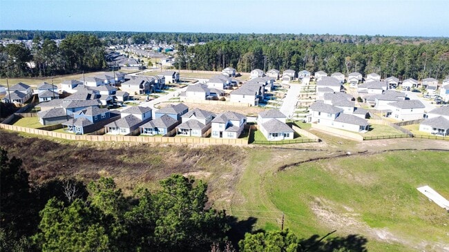 property at 247 Brazen Forest Trl