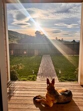 2736 McDermott St in Fortuna, CA - Foto de edificio - Building Photo