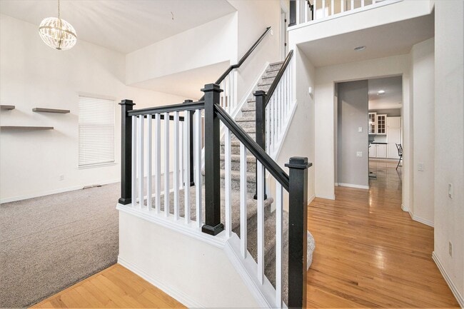 2956 Golden Harvest Ln in Fort Collins, CO - Building Photo - Building Photo