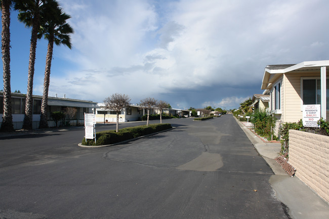 1010 Bobier Dr in Vista, CA - Foto de edificio - Building Photo