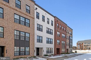 43474 Danville Ter in Ashburn, VA - Building Photo