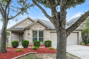13323 Lake Passage Ln in Houston, TX - Building Photo