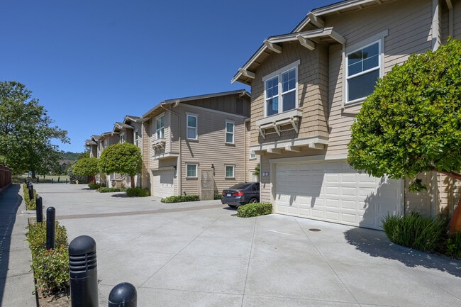 12 Merrydale Ct in San Rafael, CA - Building Photo - Building Photo