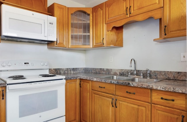 2901 Leslee Lake Dr N in St. Petersburg, FL - Building Photo - Building Photo