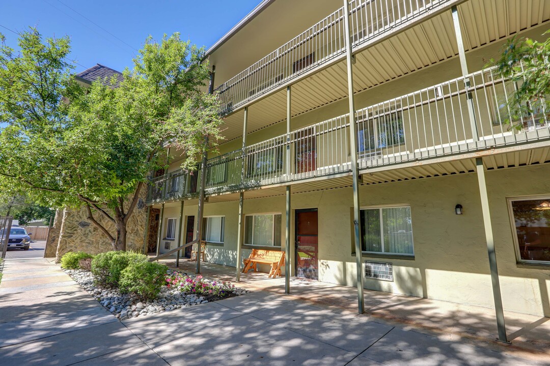 Three Spruce Apartments in Lakewood, CO - Building Photo