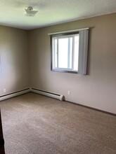 205 1st St NE, Unit Unit 4 in New Albin, IA - Building Photo - Building Photo