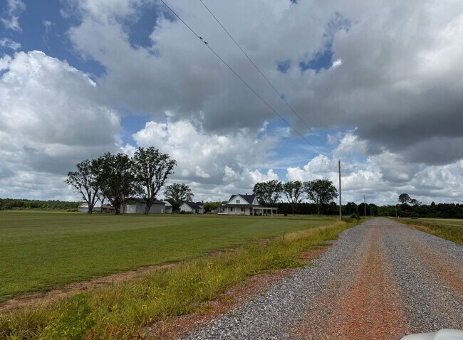 24150 Seibert Rd in Elberta, AL - Building Photo - Building Photo