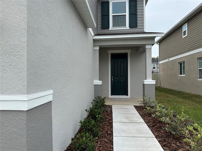 37411 Roanoke River Wy in Zephyrhills, FL - Building Photo - Building Photo