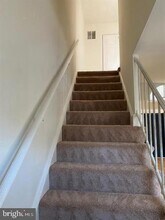 8286 White Pine Dr in Manassas Park, VA - Foto de edificio - Building Photo