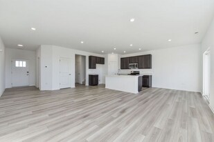 15238 S Hepworth Pl in Plainfield, IL - Building Photo