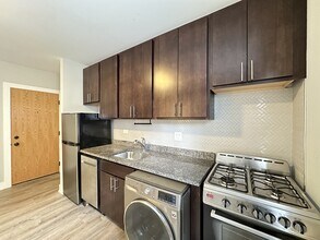 434.5 W Belden Ave in Chicago, IL - Building Photo - Building Photo