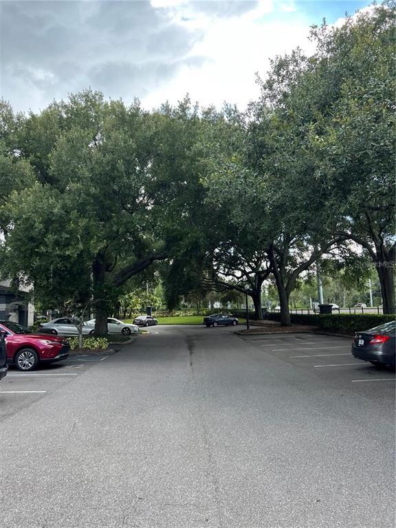 8517 Sea Harbour Ln in Temple Terrace, FL - Building Photo - Building Photo