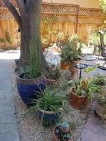 943 Casanova Ave, Unit Studio in Monterey, CA - Building Photo