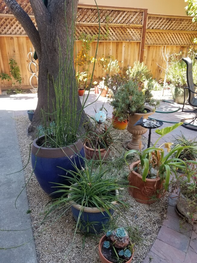 943 Casanova Ave, Unit Studio