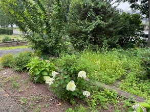 107 Glenridge Ave in Glen Ridge, NJ - Building Photo - Building Photo