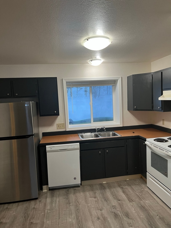 250 Ponderosa Loop in Wasilla, AK - Building Photo - Building Photo
