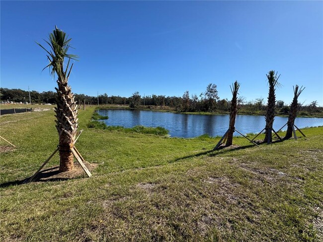 3281 VESARA Dr in Davenport, FL - Foto de edificio - Building Photo